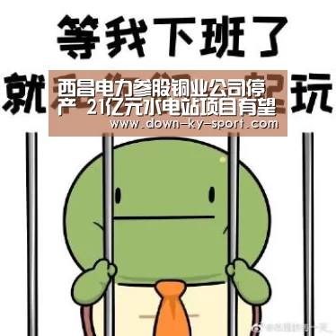 开云体育官网